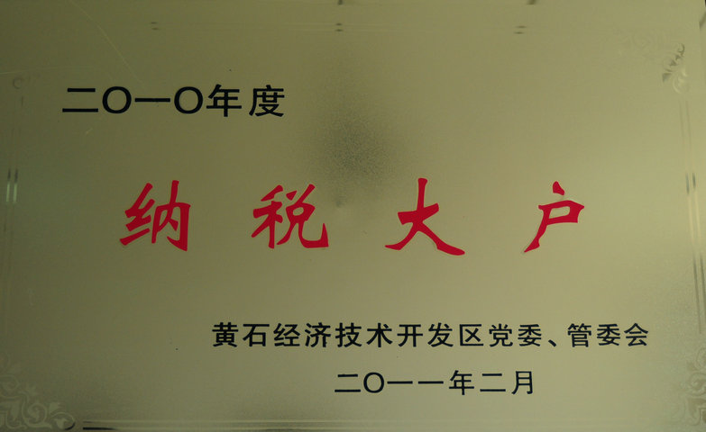 2010年度纳税大户